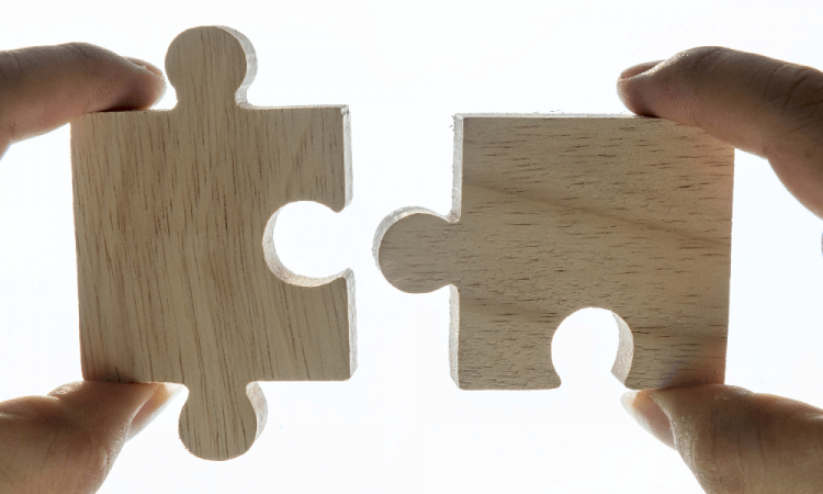 puzzle pieces of elements of leadership programs